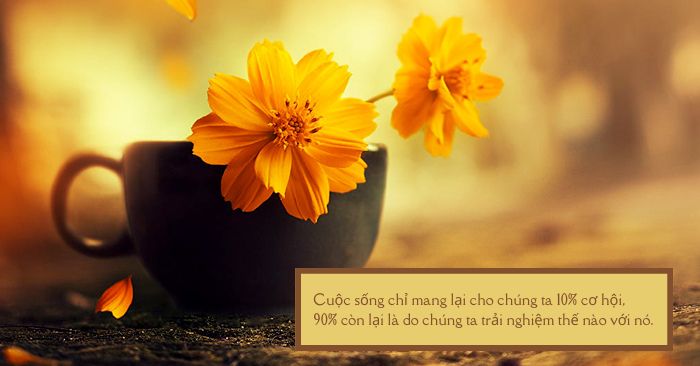 Quotes cuộc sống