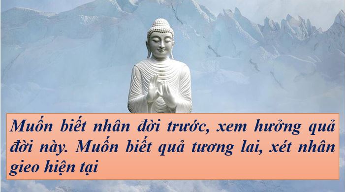 Những câu nói hay của Phật về cuộc sống
